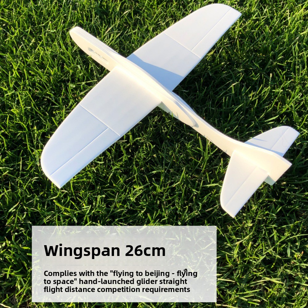 Lightweight Airplane Glider Mo – Model Airplane Plastic Bewertung und Preis