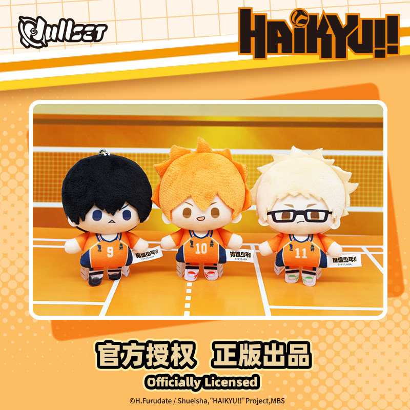 Haikyu!! Mini Toy Pendant Seri – Mystery Box Blind Bag Bewertung und Preis